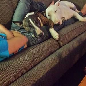 Meet your Posher, Chad